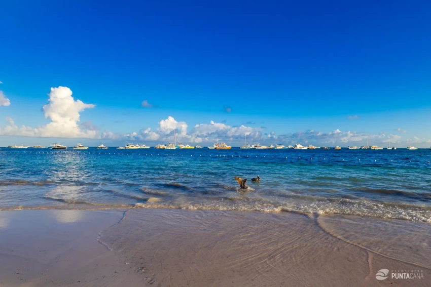 Punta Cana